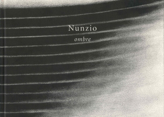 Nunzio, ombre. Opere 2005
catalogo Edizioni Galleria dello Scudo 2005