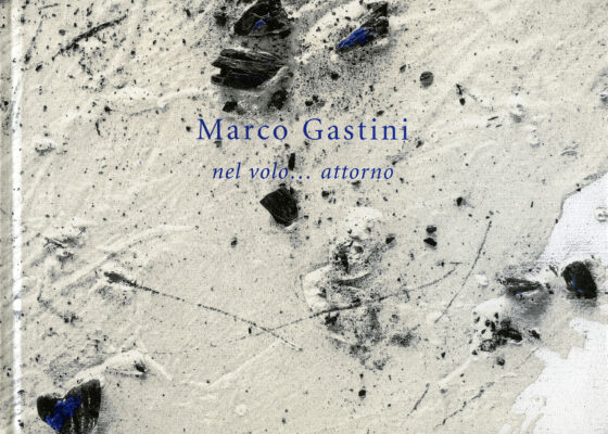 Marco Gastini, nel volo…attorno
catalogo Edizioni Galleria dello Scudo 2008