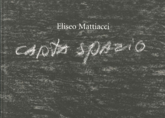 Eliseo Mattiacci, capta spazio
catalogo Edizioni Galleria dello Scudo 2002